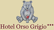 Hotel Orso Grigio Bressanone ***